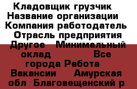 Кладовщик-грузчик › Название организации ­ Компания-работодатель › Отрасль предприятия ­ Другое › Минимальный оклад ­ 20 000 - Все города Работа » Вакансии   . Амурская обл.,Благовещенский р-н